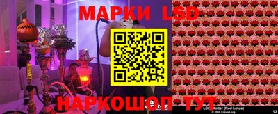 гашик Жуковский