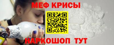 шишки Заволжье