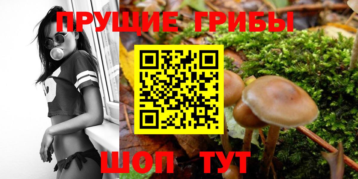 Галлюциногенные грибы мухоморы Краснодар