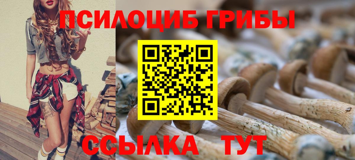 Краснодар  Псилоцибиновые грибы мухоморы  Вход с VPN 