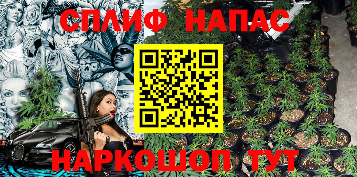 Каннабис Bruce Banner Краснодар